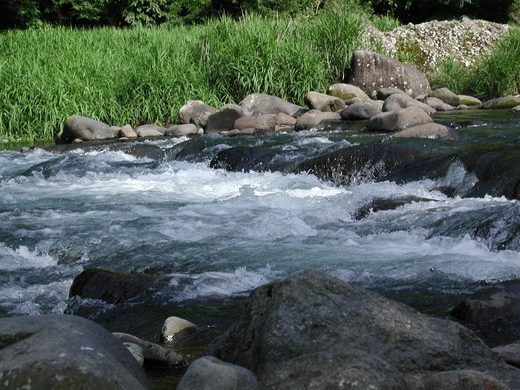 狩野川.JPGのサムネール画像