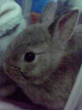 2010061120080000.JPGのサムネール画像のサムネール画像のサムネール画像のサムネール画像のサムネール画像