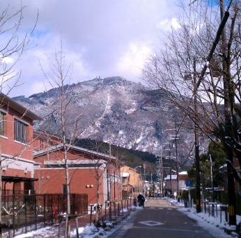 Y3 800600IMAG0078.jpg