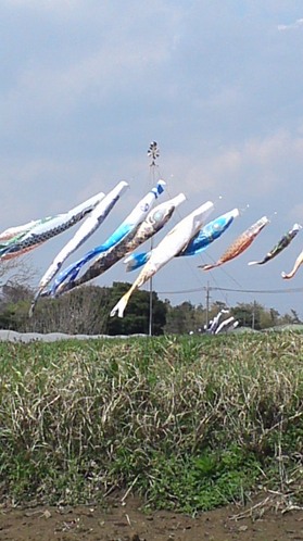 k2120418_1306~02.jpgのサムネール画像