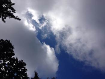 2013 10 29施設日記3.jpg