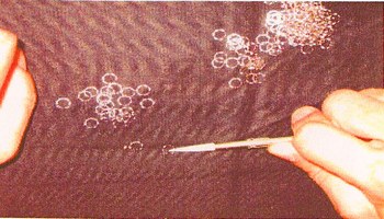 IMG_0111.jpgのサムネール画像