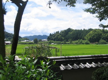 梅田さん写真2 (3).jpgのサムネール画像のサムネール画像