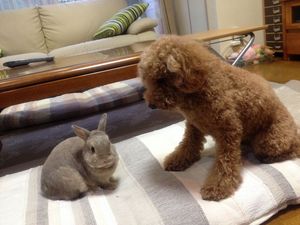 __ 1 - コピー.jpg