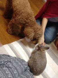 __ 2 - コピー.jpg