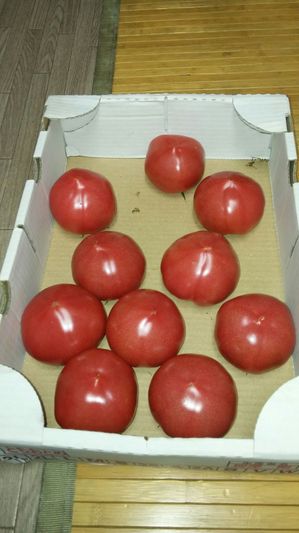 トマトjpg
