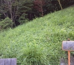 ビフォー.jpgのサムネール画像