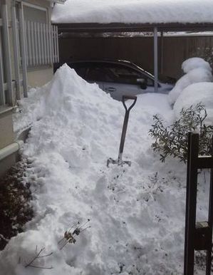 15-01-03_002雪③.jpgのサムネール画像