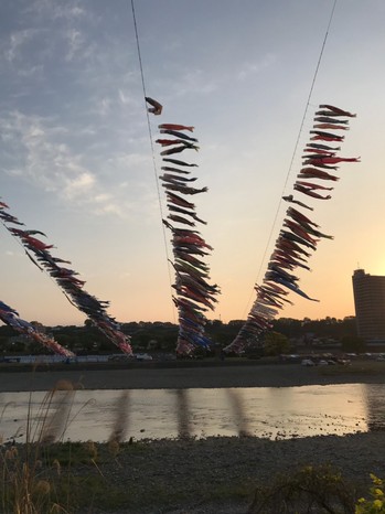 20190528儀保写真 (5).jpg