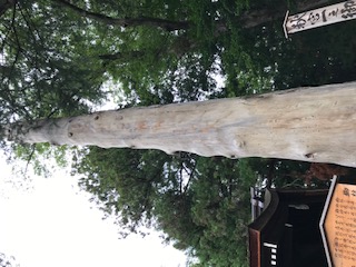 諏訪秋宮一の御柱.jpg