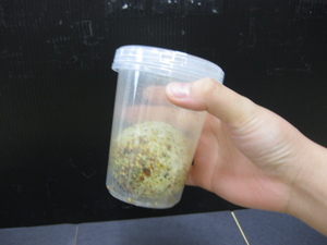 画像 010　シェイク.jpg