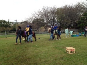 131028ポニー (9).JPG