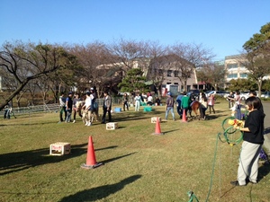 131106ポニー乗馬会 (6).JPG