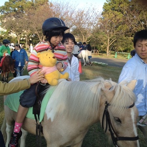 131106ポニー乗馬会 (9).JPG
