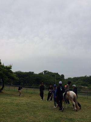 140514ポニー (1)　その１.JPG