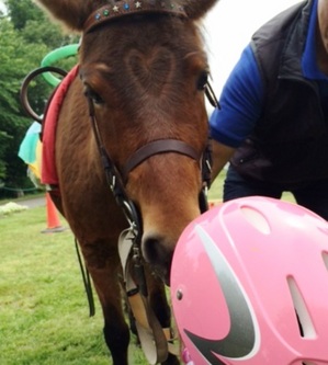 140514ポニー乗馬１ 　その５.JPG