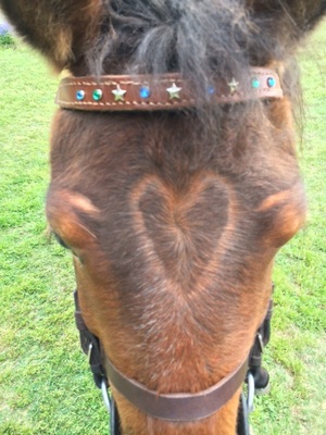 140514ポニー乗馬１ 　その4.JPG