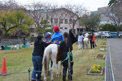 141105　ポニー (6).JPG