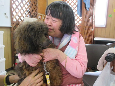 アニマルセラピー①.JPG
