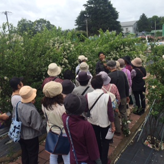 160511　サロン元気 (39).JPG