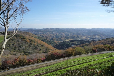 ★161202　通所　旅行　マザー牧場　佐藤浩二職員カメラ (20).JPG