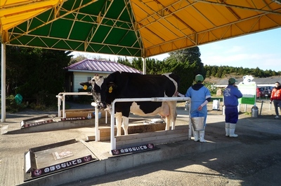 ★161202　通所　旅行　マザー牧場　佐藤浩二職員カメラ (29).JPG