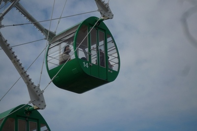 ★161202　通所　旅行　マザー牧場　佐藤浩二職員カメラ (7).JPG