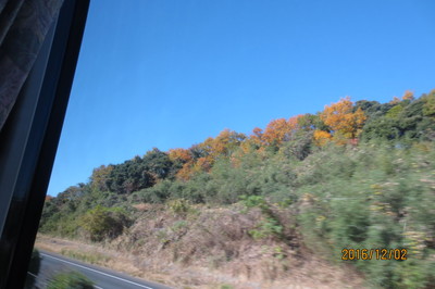 ★161202　通所　旅行　マザー牧場　小野田カメラ (19).JPG