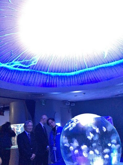 161206　江の島水族館　打ち合わせ (14).JPG