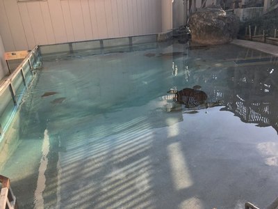 161206　江の島水族館　打ち合わせ (8).JPG