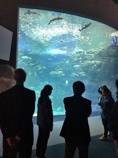 161206　江の島水族館　打ち合わせ (9).JPG