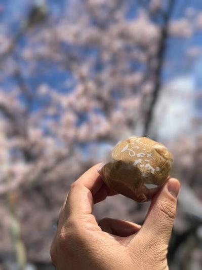 170407　デイ　花見外出 (2).JPG