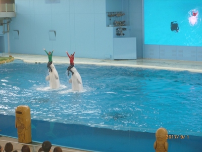 170901　ゆうき村① (12).JPG