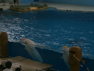 170901　日帰り旅行　せ関根さんカメラ (49).JPG