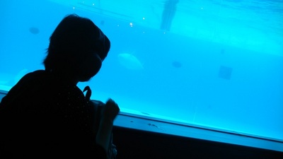 170901　日帰り旅行　つ土屋さんカメラ (7).JPG