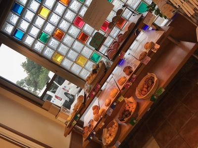 170925　湘南だいち　だいちの森 (1).jpg