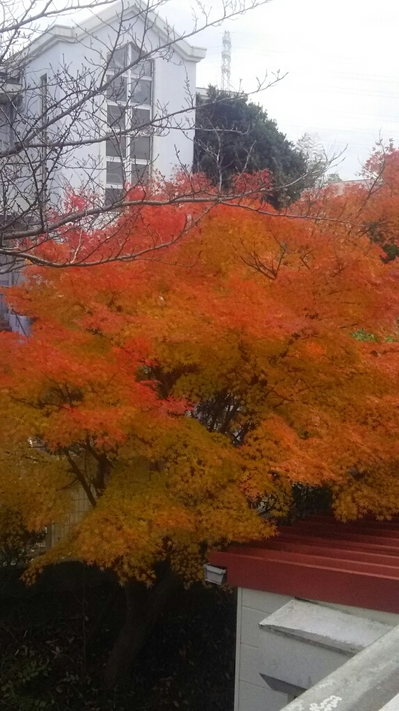 忘年会に向けて (2).JPG