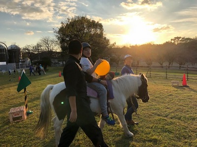 181024ポニー②.jpg