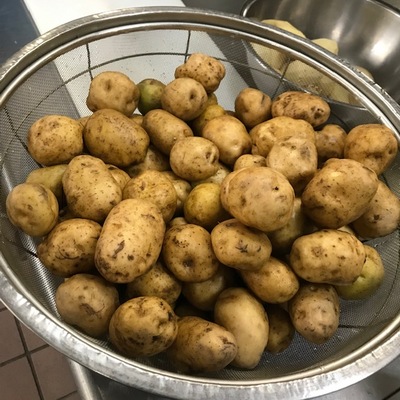 181117　収穫祭　前日 (17).jpg