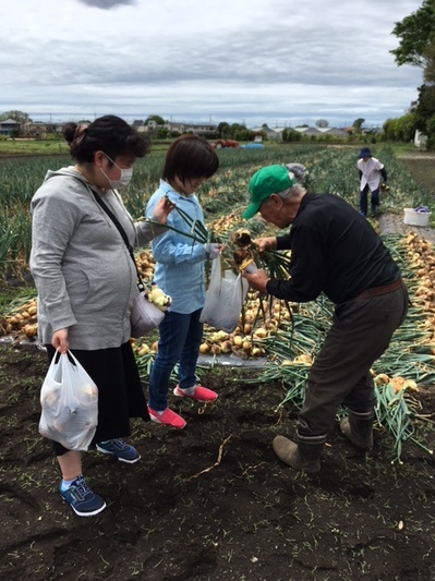 タマネギ交流(たて）.jpg