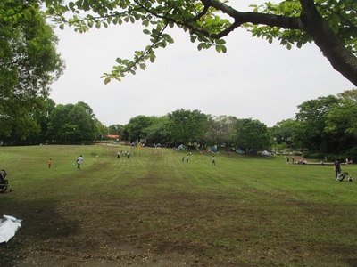 190503　里山公園　広場.JPG
