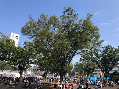 190728　善行団地夏祭り (10).jpg