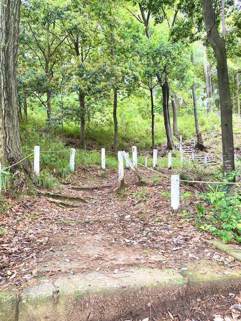 20220524施設長日記（伏見）写真②.jpg