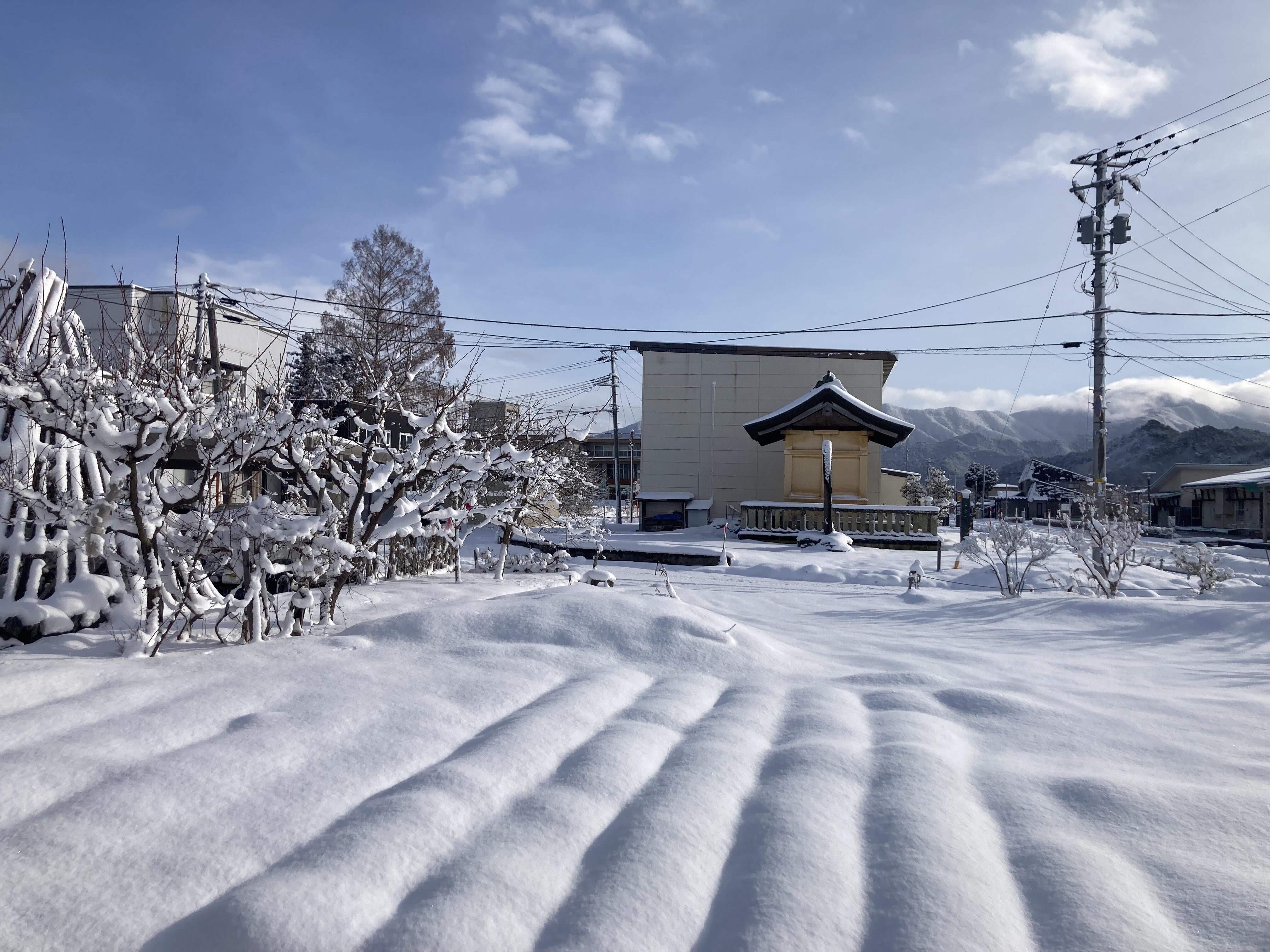 骨髄提供体験記⑤(湘南ゆうき村・法人事務局 課長 高橋宏明)