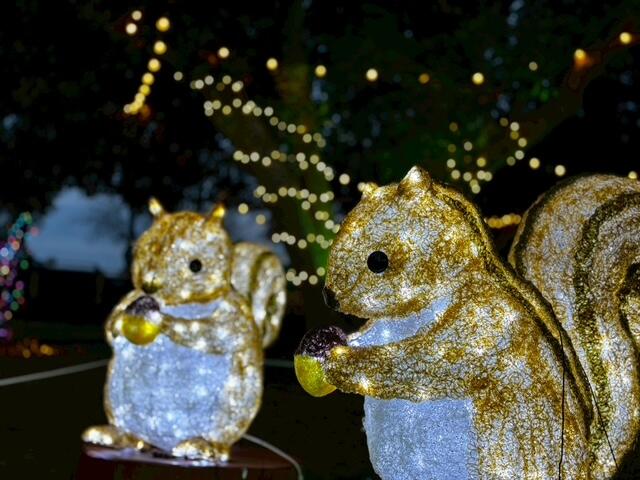 「続いていく時間」（サービスセンターぱる　課長　飯原 佑）