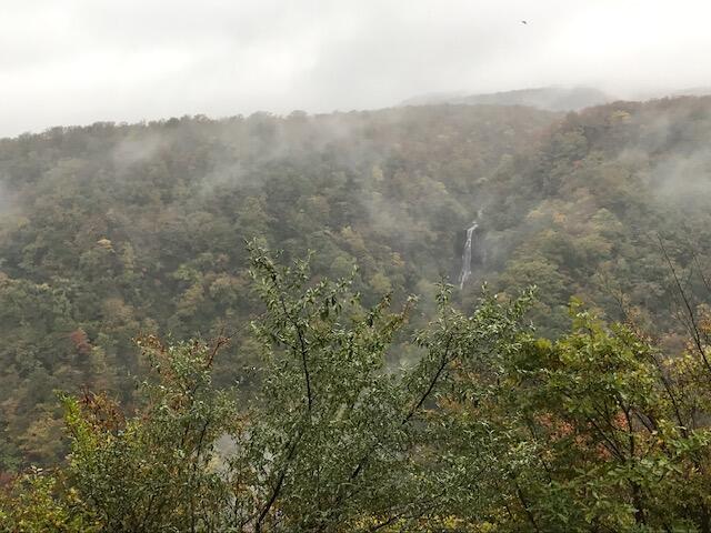 「加湿器と除湿器」（湘南あおぞら・アポロ　課長　高橋羽苗)