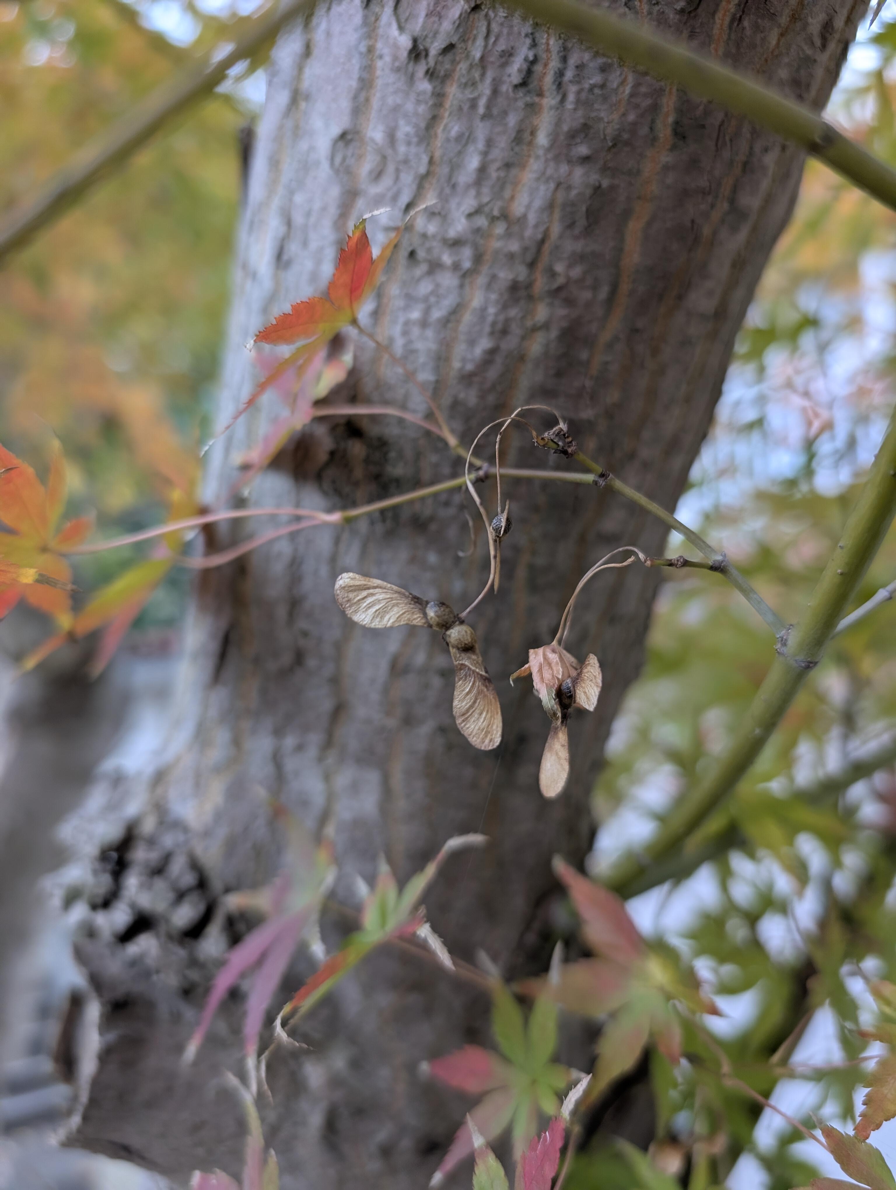 『驚き』（みらい社・湘南ジョイフル　課長　石川大助）
